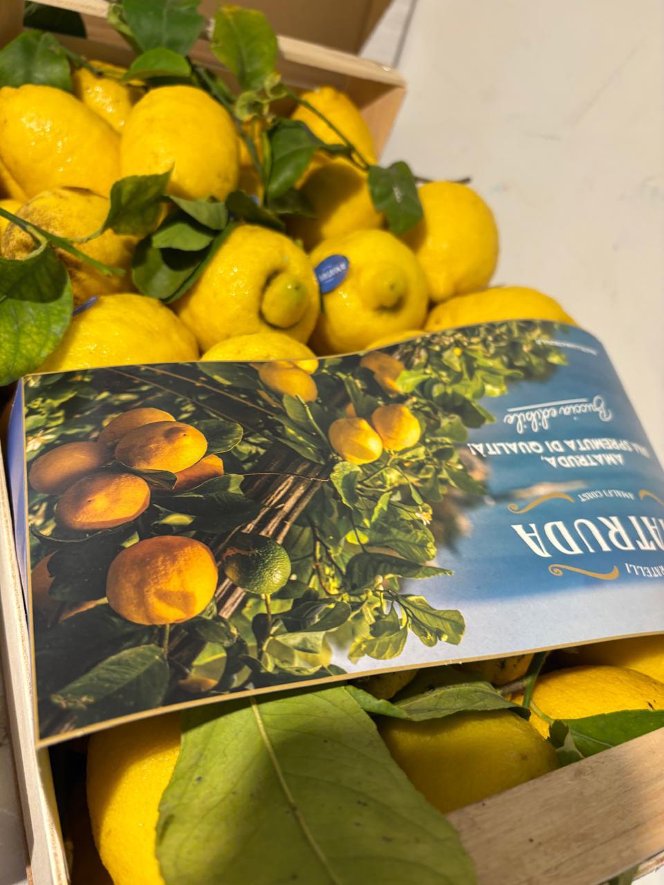 Gustavia Gourmet Grocery Store for Yacht and Villa
