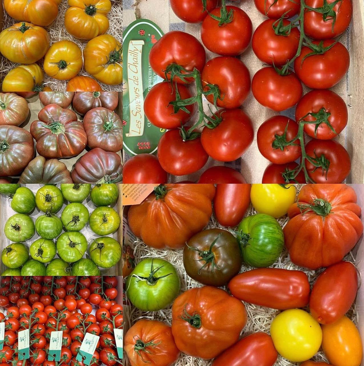 How a Private Chef Grocery Supplier Should Work