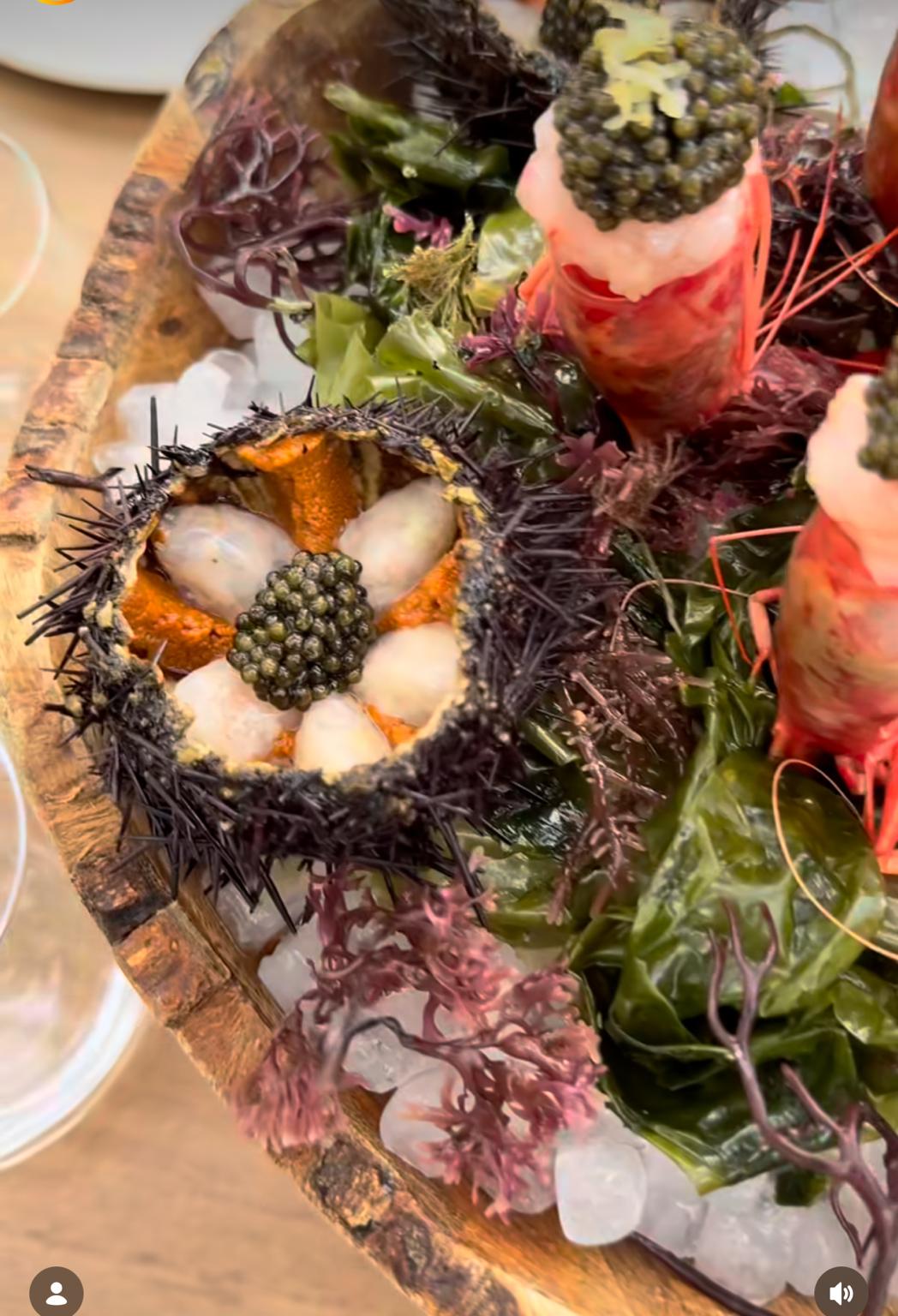 Fresh sea urchins , oysters and premium seafood at American Gourmet St Barth